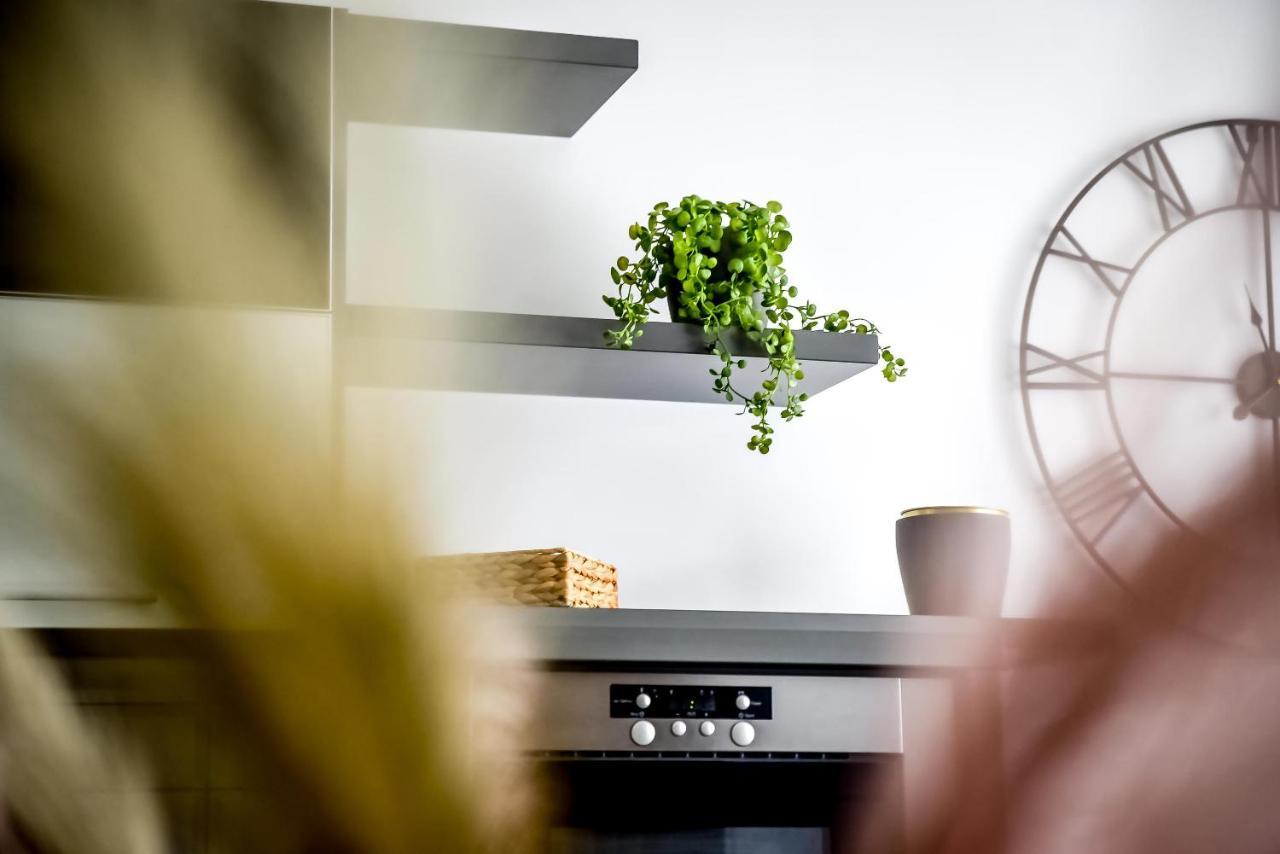 Podtatrzanskie Apartamenty ノヴィ・タルク エクステリア 写真